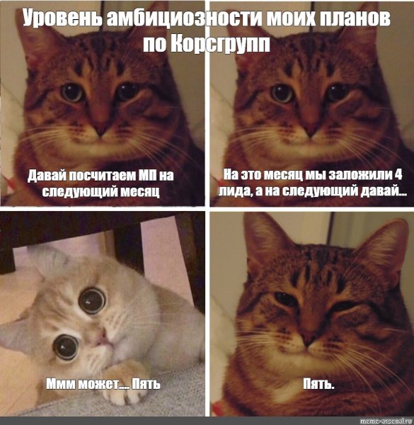 Классификация котов Мем