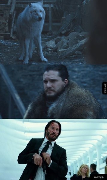 Джон уик мемы