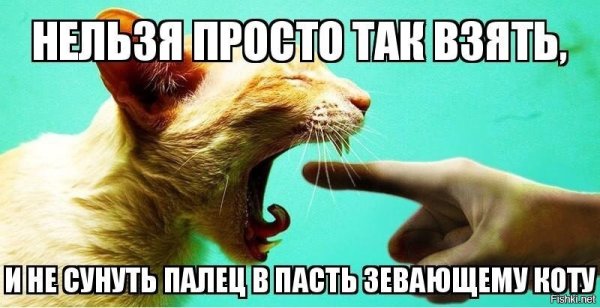 Палец в рот коту