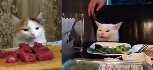 Мем с котом за столом