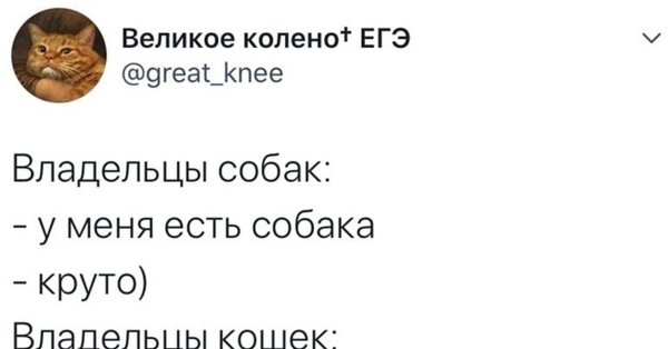 Владельцы собак и владельцы кошек