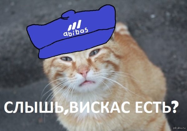 Кот гопник картина