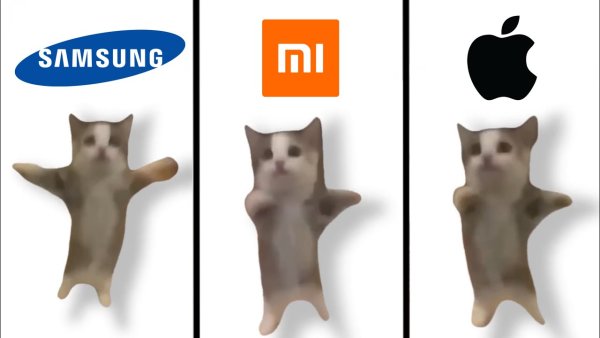 Коты мемы Хеппи Хеппи