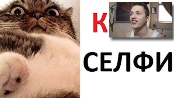 Мемы Макс Максимов