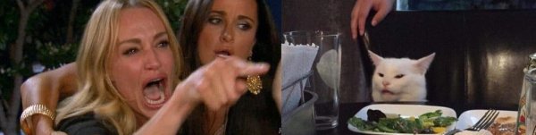 Мем с котом за столом в хорошем качестве