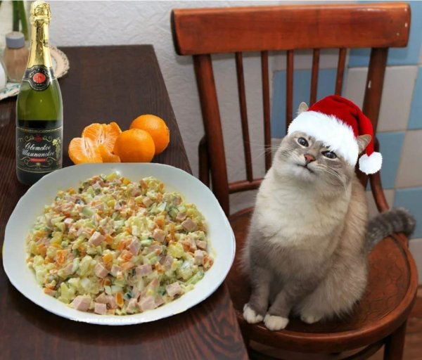Салат котик на новый год