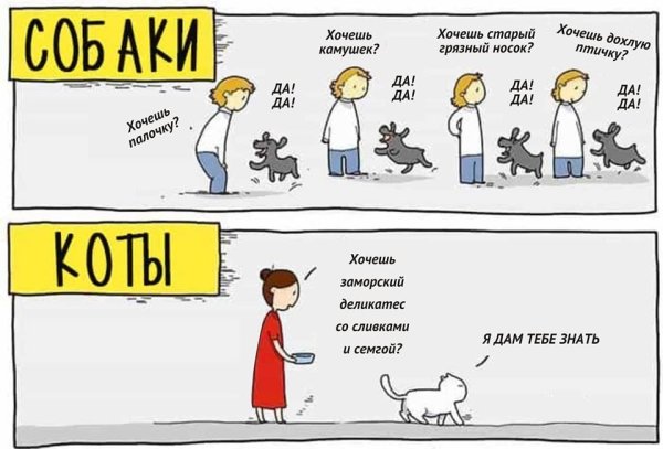 Владельцы собак и кошек Мем