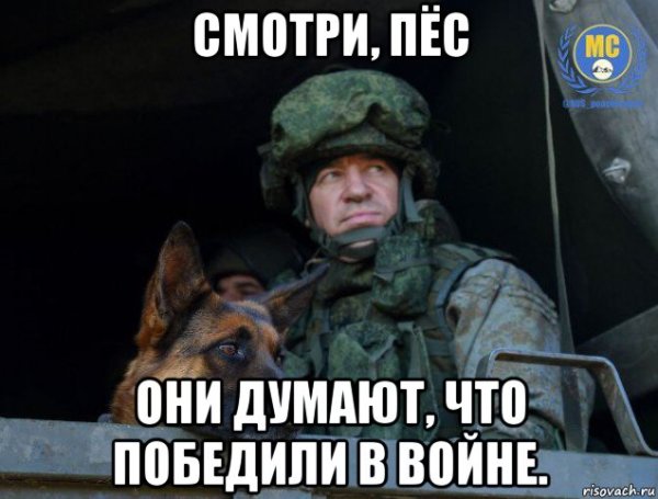 Собаки на войне мемы