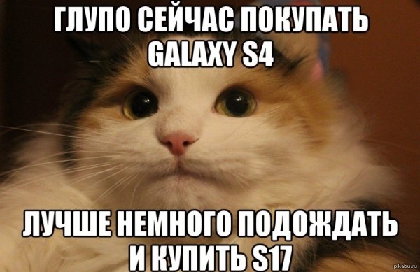 Кот гуляет Мем