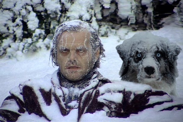 Джек Николсон сияние в снегу