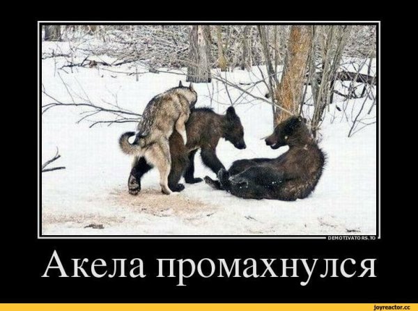 Демотиваторы Акела промахнулся