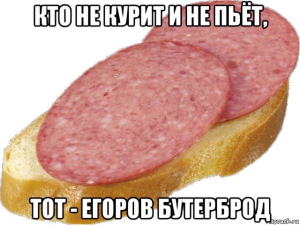 Буш бутербродик с собакой