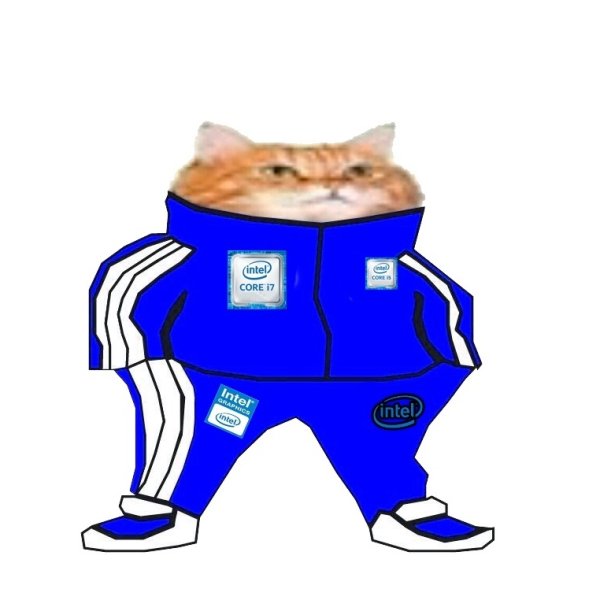 Кот в адидасе для авы