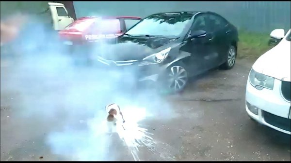 Взрыв пивной кеги с собакой