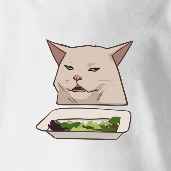 Кот из мема с салатом