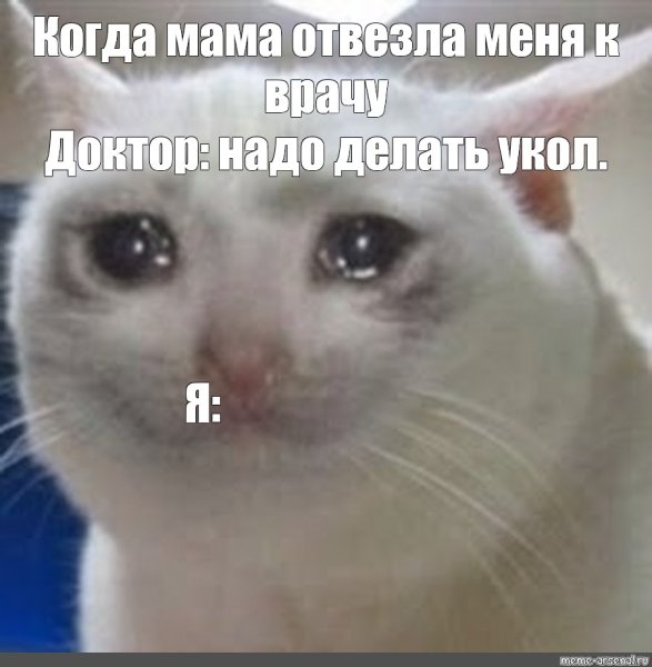 Плачущий кот Мем