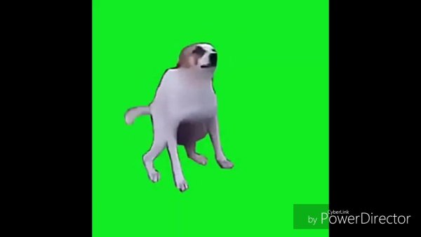 Танцующая собака