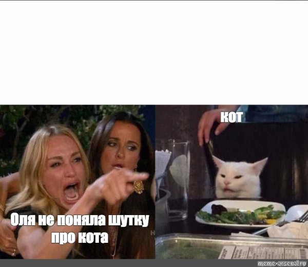 Кот из мемов за столом