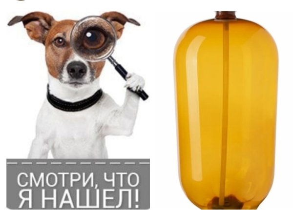 Собака и кега