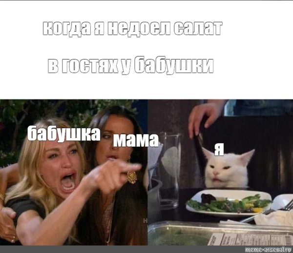 Кот с салатом женщина кричит Мем