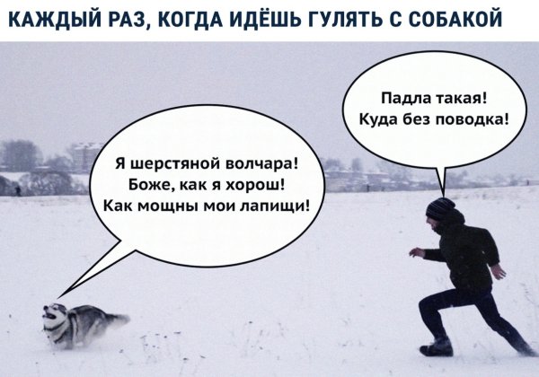 Я шерстяной Волчара