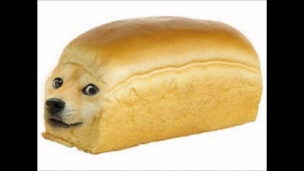 Собака Хлебушек