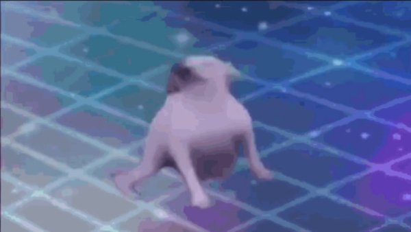 Танцующий пес гиф