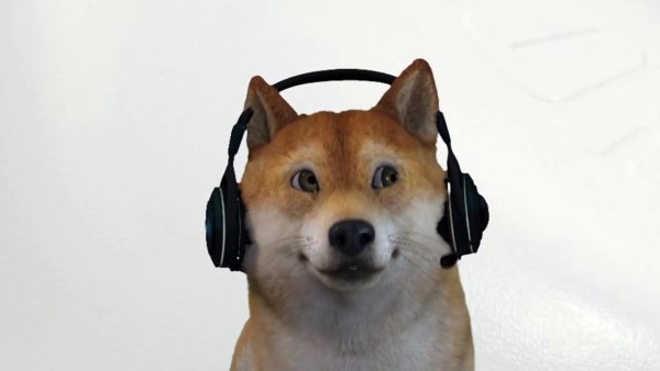 Пес с наушниками