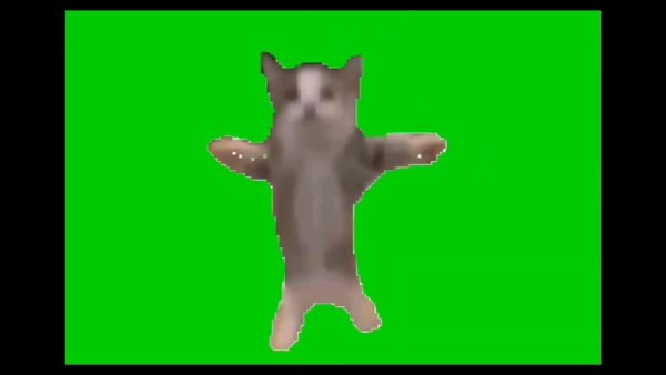 Котёнок на зелёном фоне