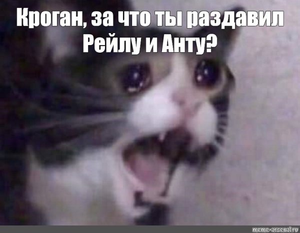 Кот мяукает Мем