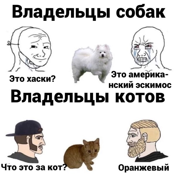 Собачники vs кошатники