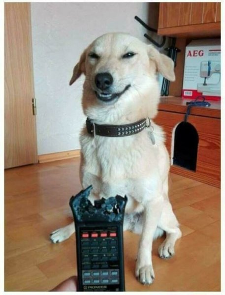 Смешные картинки