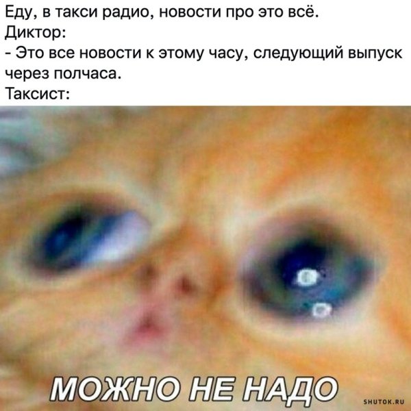 Можно не надо кот