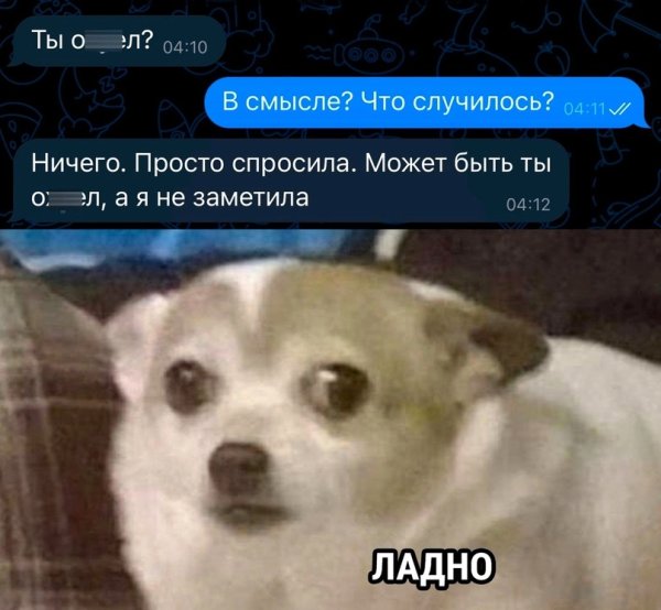 Ладно Мем собака