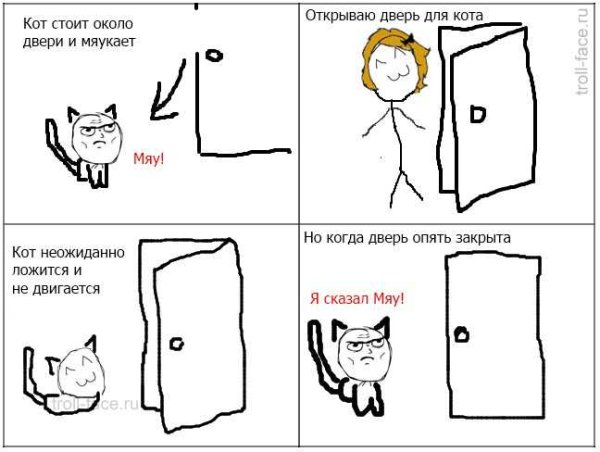 Кот и дверь Мем