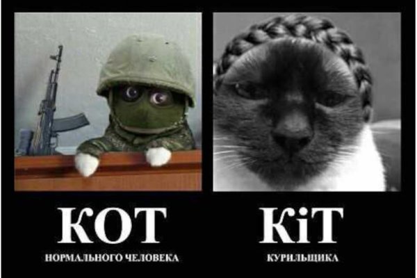 Вежливые люди и котики