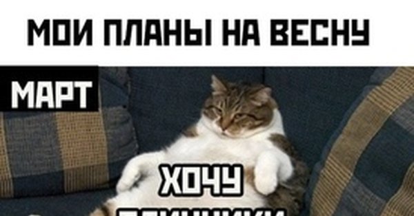 Мемы про завод с котиками