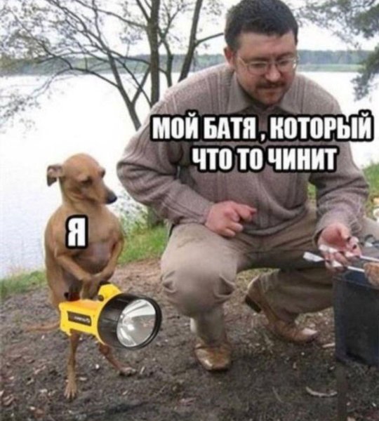 Мемы про батю