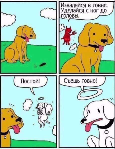Смешные собаки мемы