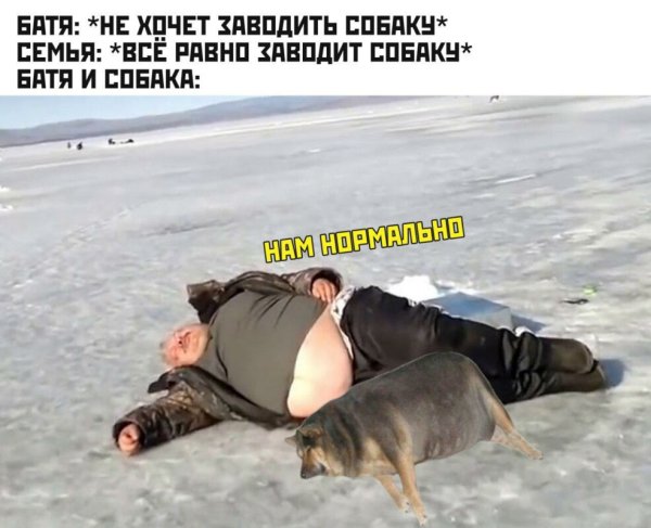 Батя и собака Мем
