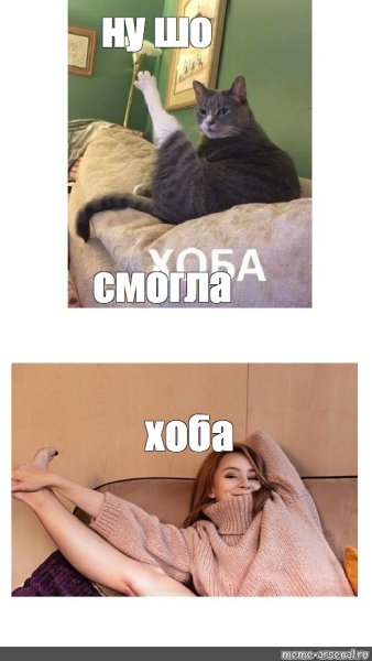Хоба Мем