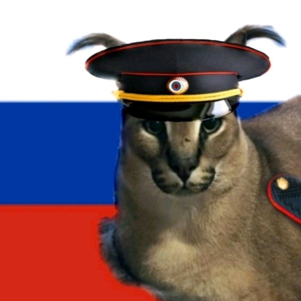 Кот в форме Российской империи