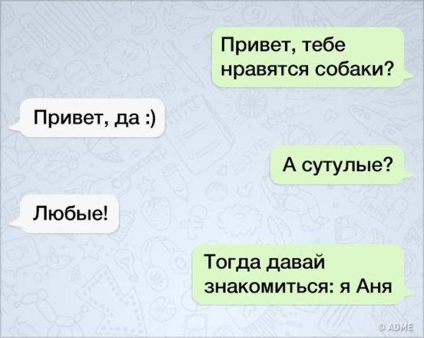 Тебе нравятся собаки