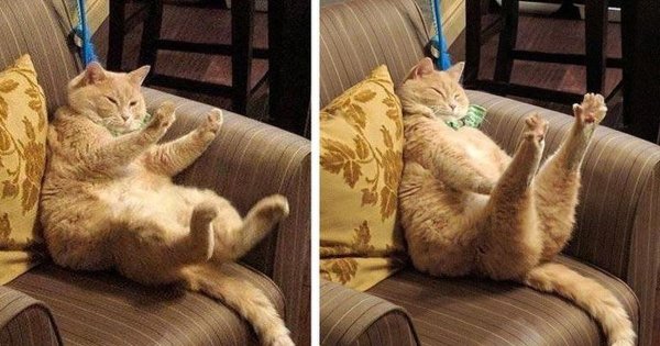 Хоба Дабл хоба