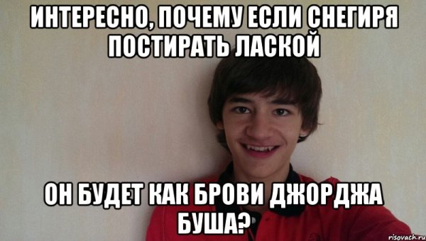 Интернеты Мем Буш