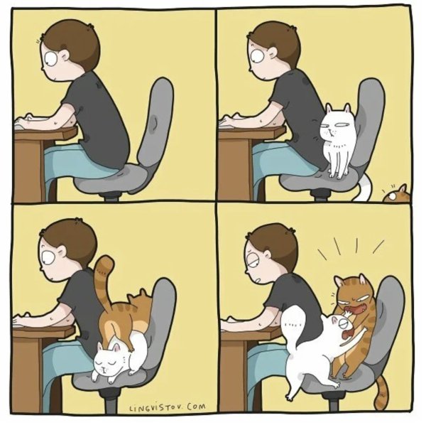 Комиксы про кошек