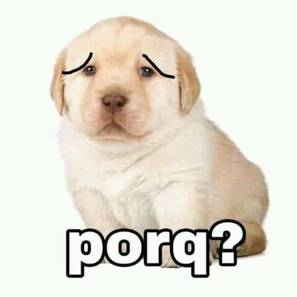 Мем с щенком quieres