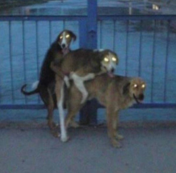 Сталкер иди своей дорогой сталкер