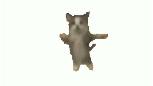 Танцующий кот