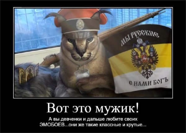 Я русский кот